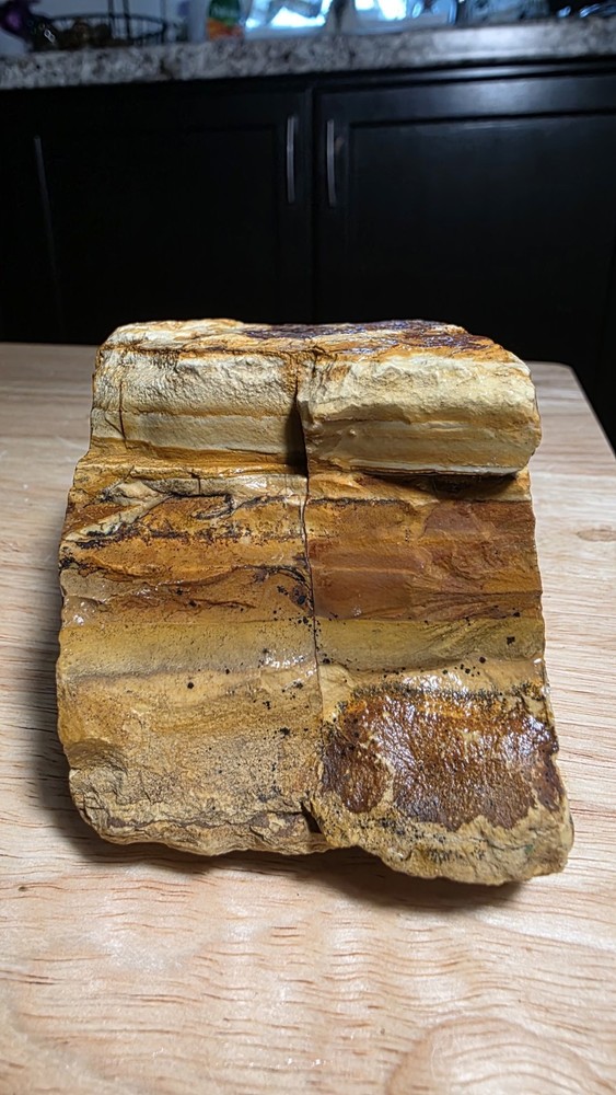 owyhee picture jasper