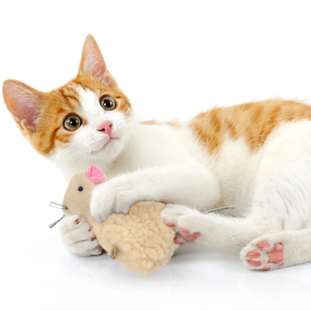 Refillable Soft Plush Catnip Toy with String Tail for Cats 3 Pack