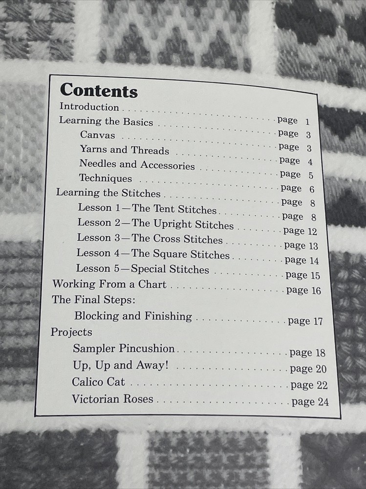 ASN First Steps In Needlepoint A Beginner's Guide To Canvas Work Paperback