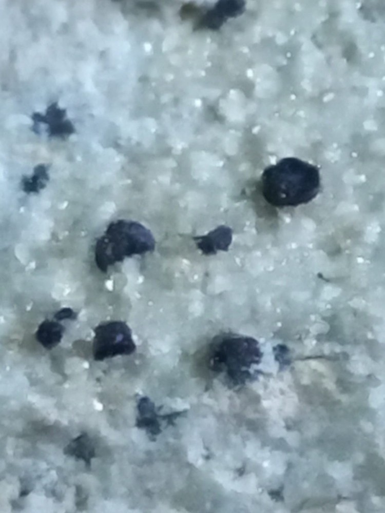 Osumilite Mineral Sardinia