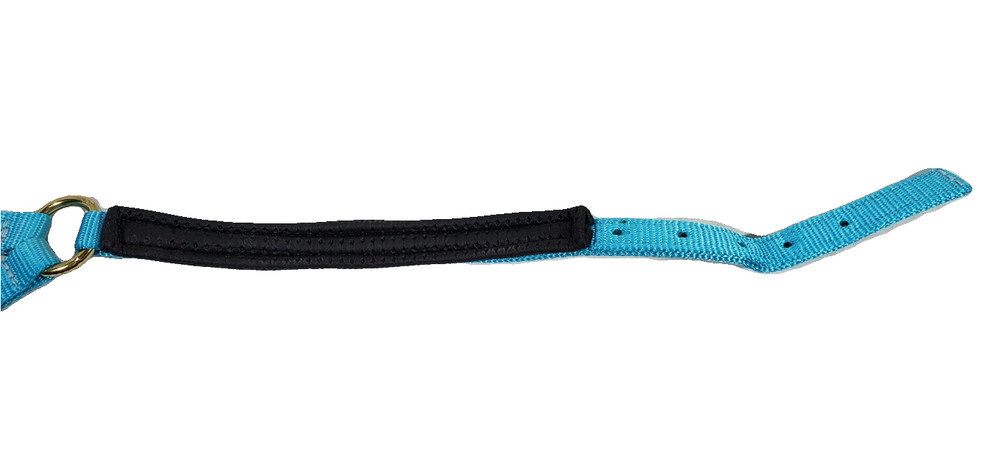 Miniature Horse Nylon Halter with Neoprene Padding