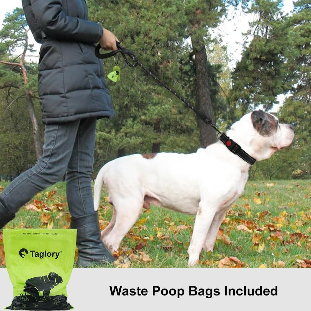 Rope Dog Leash 6 FT with Comfortable Padded Handle, Highly Reflective Threads Le