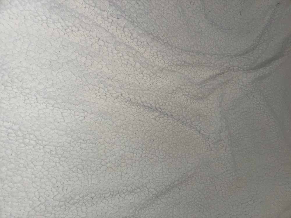 Future Paleontologist Plush Blanket