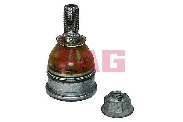 Control Arm Pin Front Left (Left) - Right