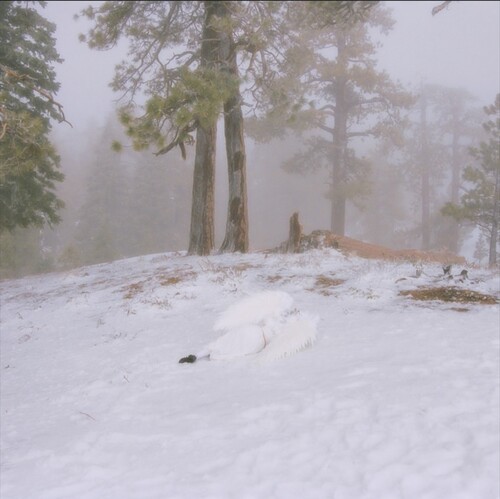 WISP - Pandora [New CD] Extended Play