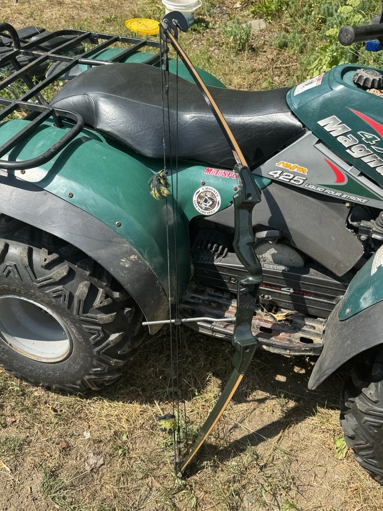 Vintage Bear Pronghorn Hunter Compound Bow