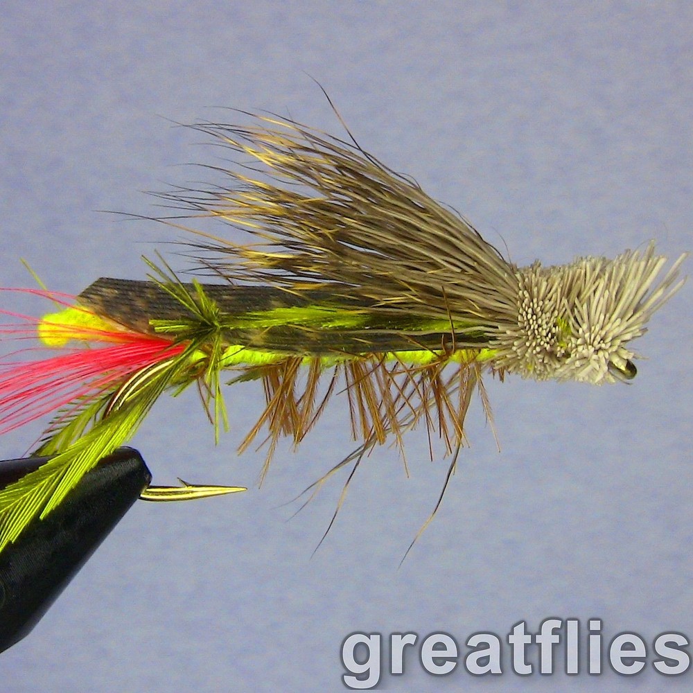 1 dozen (12) - Dave's Hopper