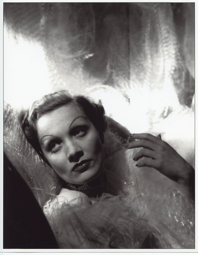 MARLENE DIETRICH  8X10 PHOTO 8800