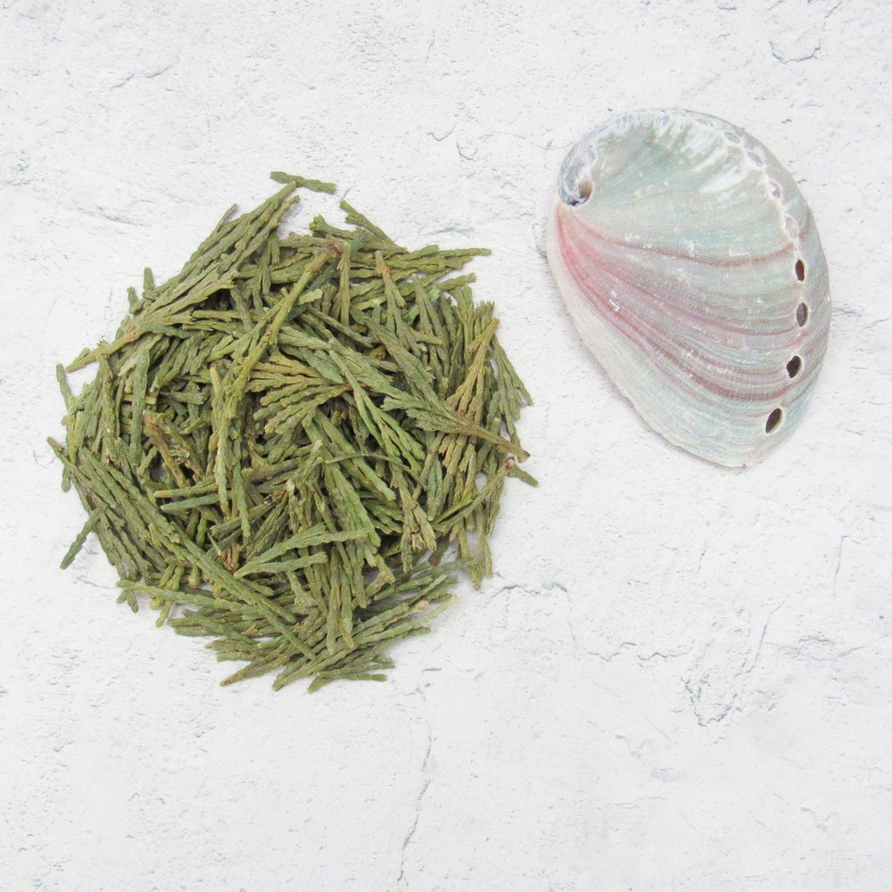 Loose Cedar with Mini Abalone Shell - Mini Herb Kit for Smoke Cleansing