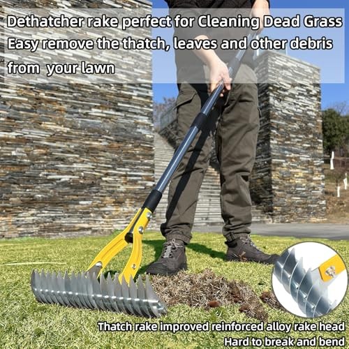 Thatch Rake 15 Inch Wide Efficient Dethatcher Rake for Cleaning Dead Grass,