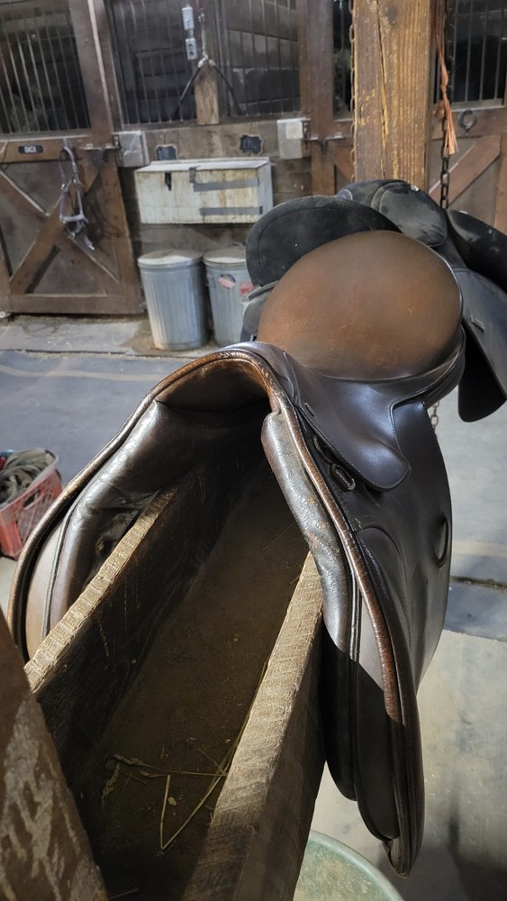 Collegiate Saddle 17 Inch