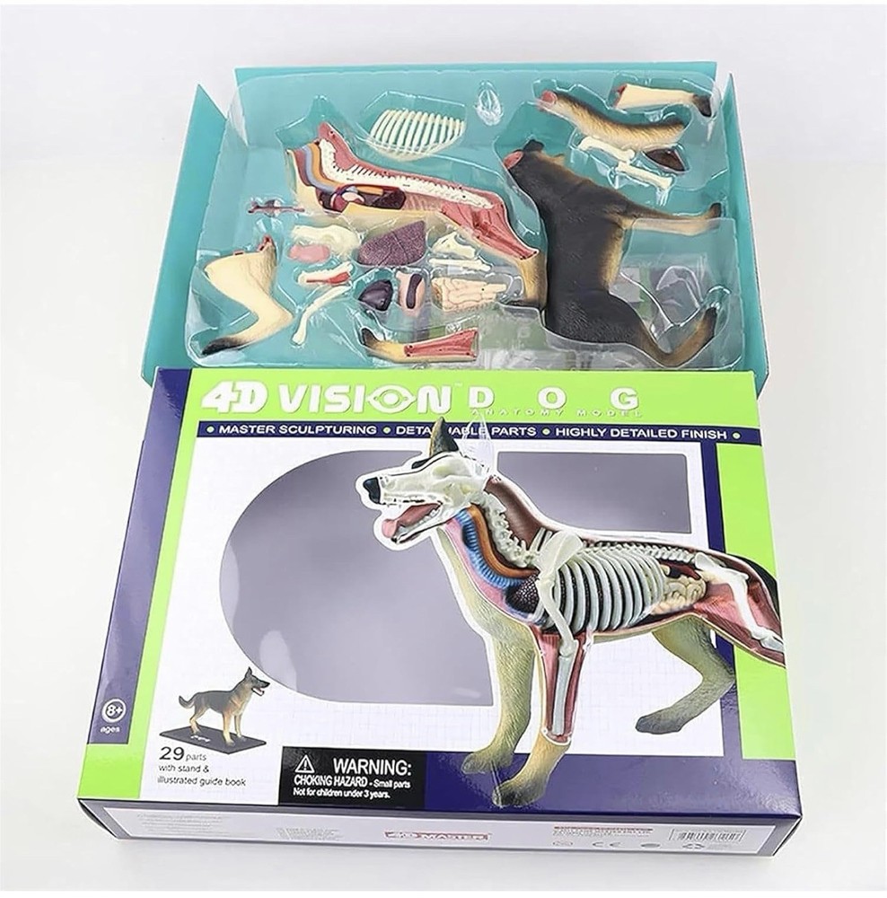 4D Master 4D Vision German Shepherd Anatomical Model Educational Toy