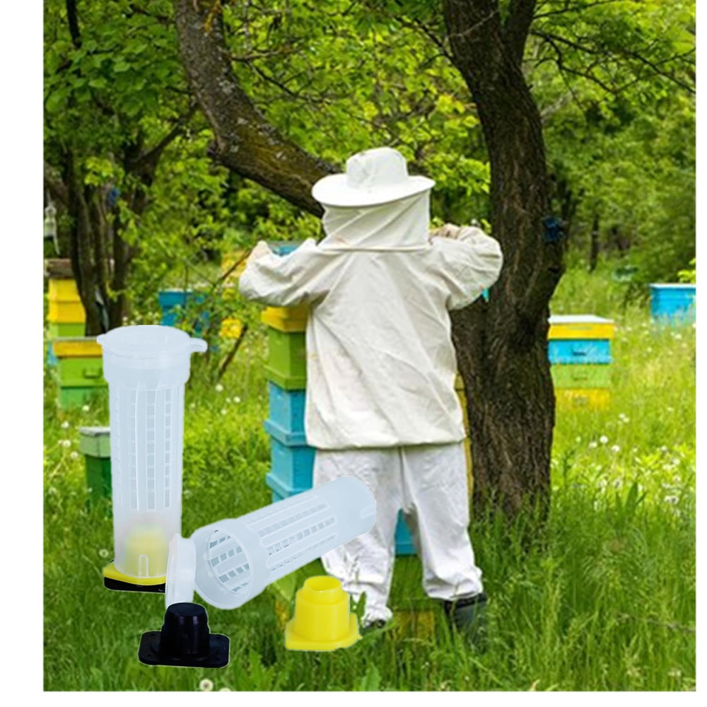 30pcs Queen Bee Roller Cages -Plastic Beekeeping Rearing Cup Kit Queen bee Ro...