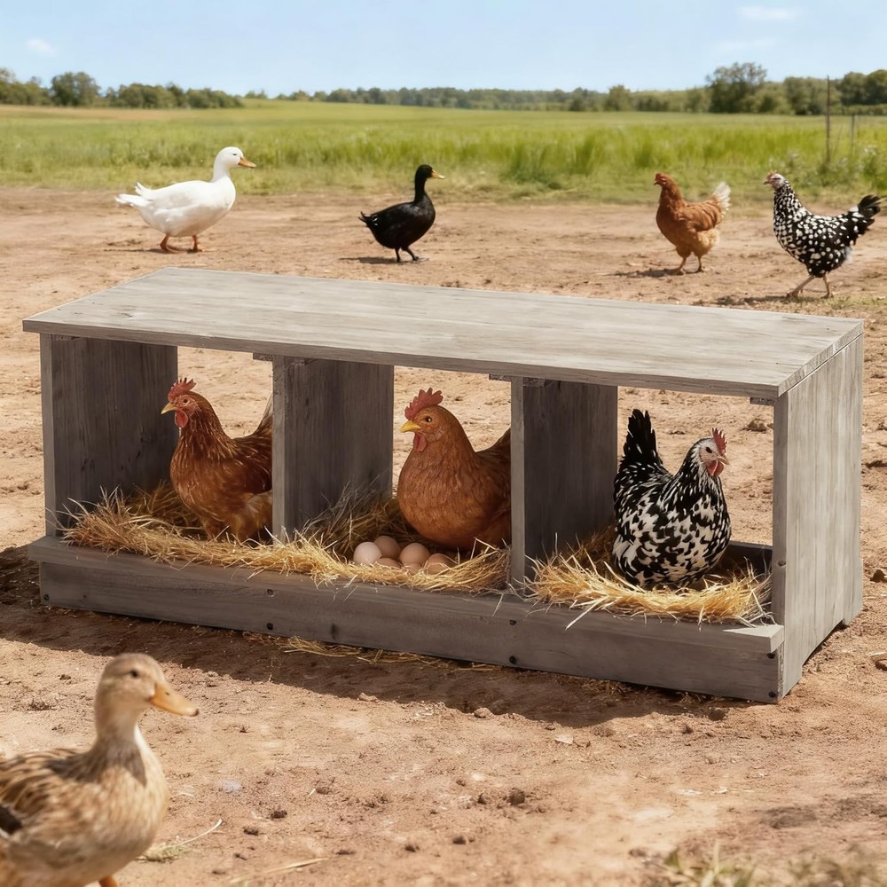 Nesting Boxes for Chickens 8/6/4/3 Compartments, Wood Chicken Nesting Box Wall