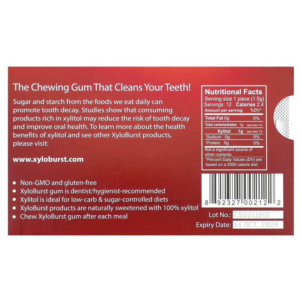 Xylitol Gum, Cinnamon, 12 Pieces