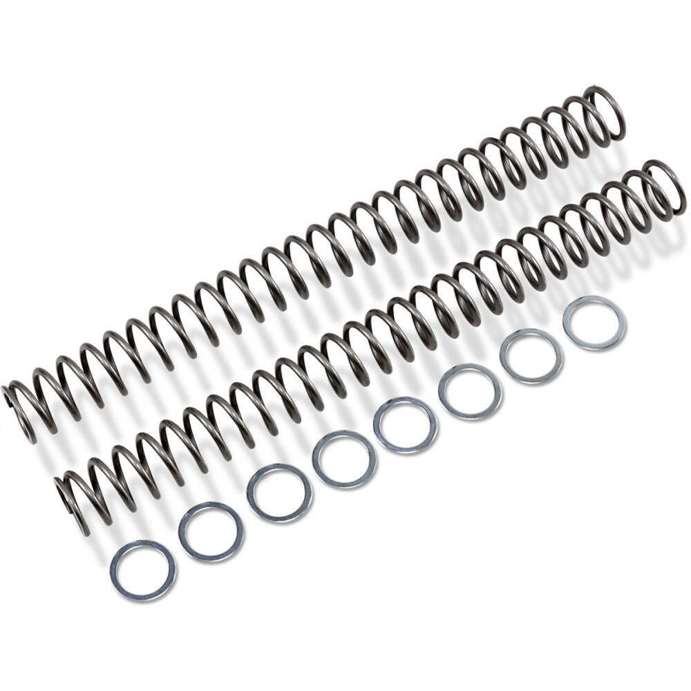 Race Tech Fork Springs - 0.52 kg/mm | FRSP 454752