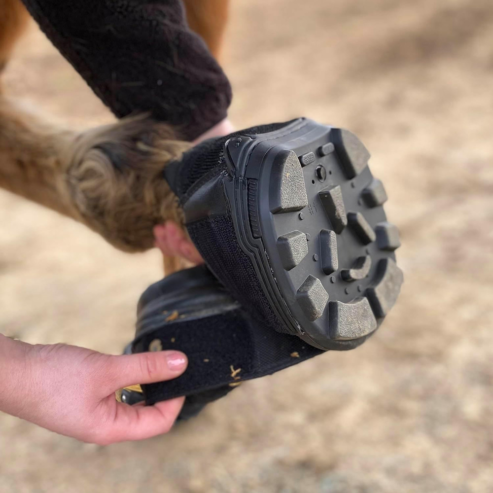 Easyboot Trail Original