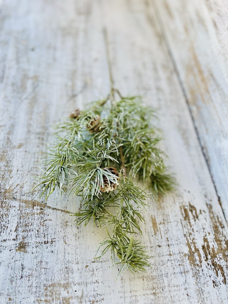 Weeping Pine Spray, 19”