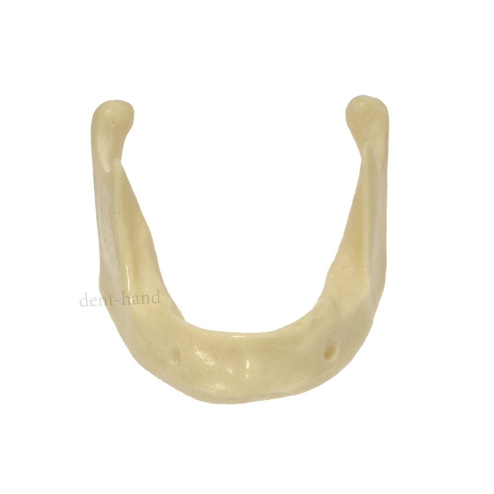 M2022 Dental Drilling Practice Model-Jaw For Implant Insertion Basic Practice