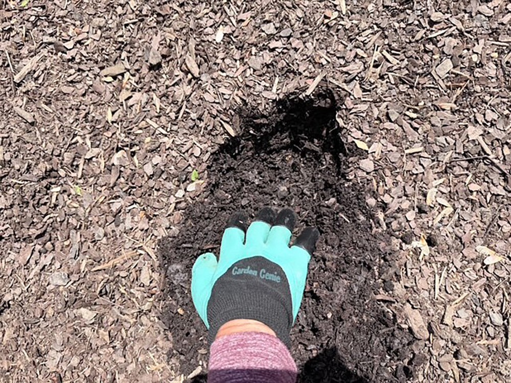 Claw Gardening Gloves Waterproof Digging Claws - 2 Pair Pack