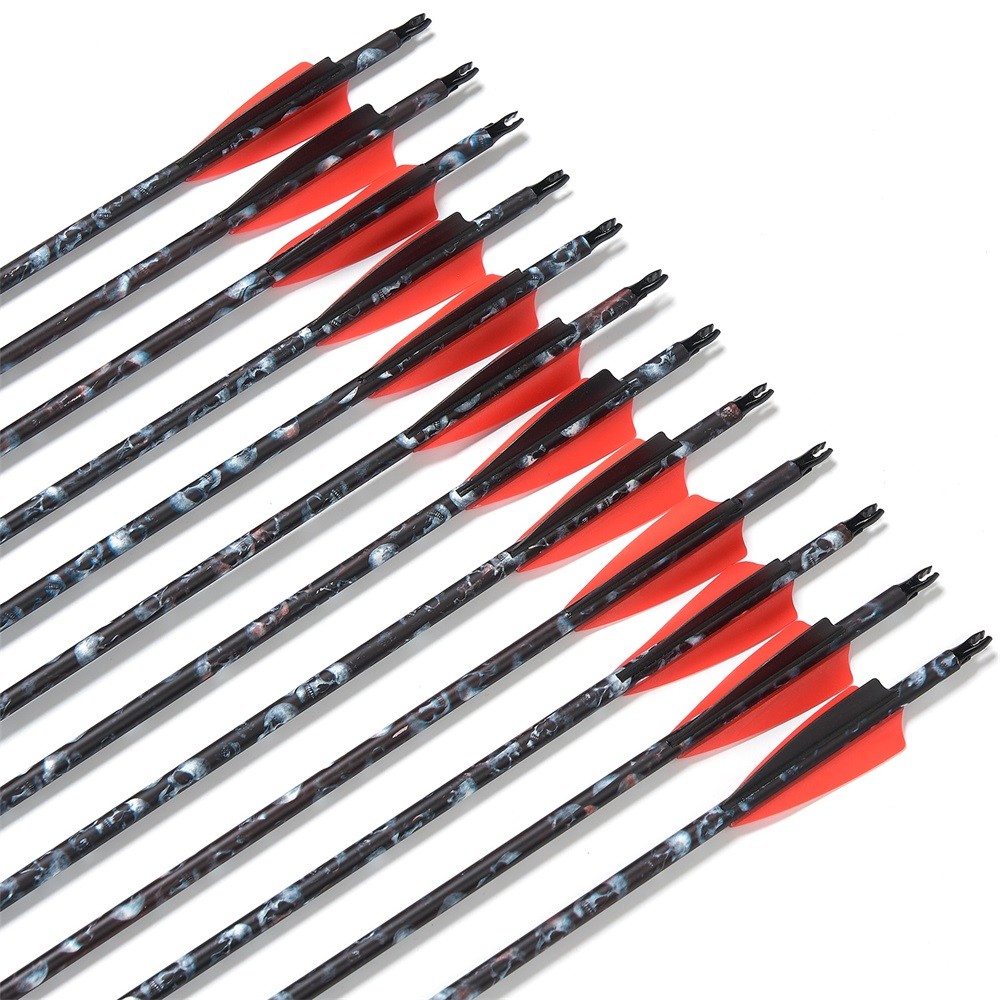 Compound Bow 30-70lbs Adjustable Archery Bow Carbon Arrows Hunting Shoot Target