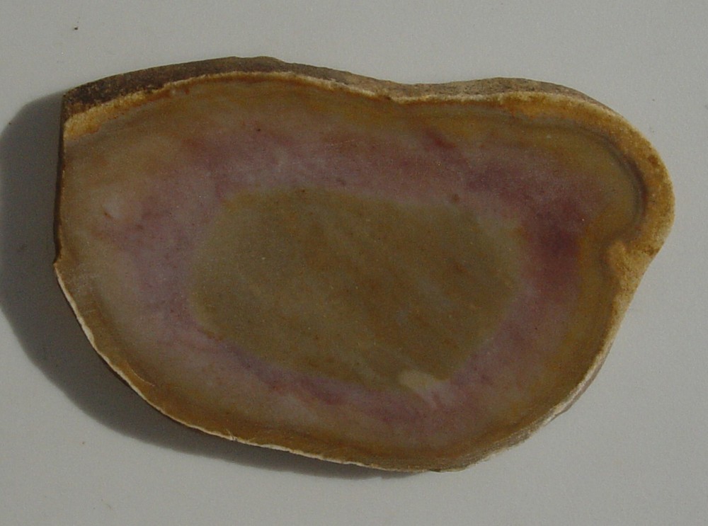 Texas Flint Lapidary Slab T1257