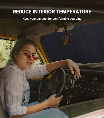 Windshield 2019-2025 with 10 inch wide sensor Metallic Silver(Metallic)