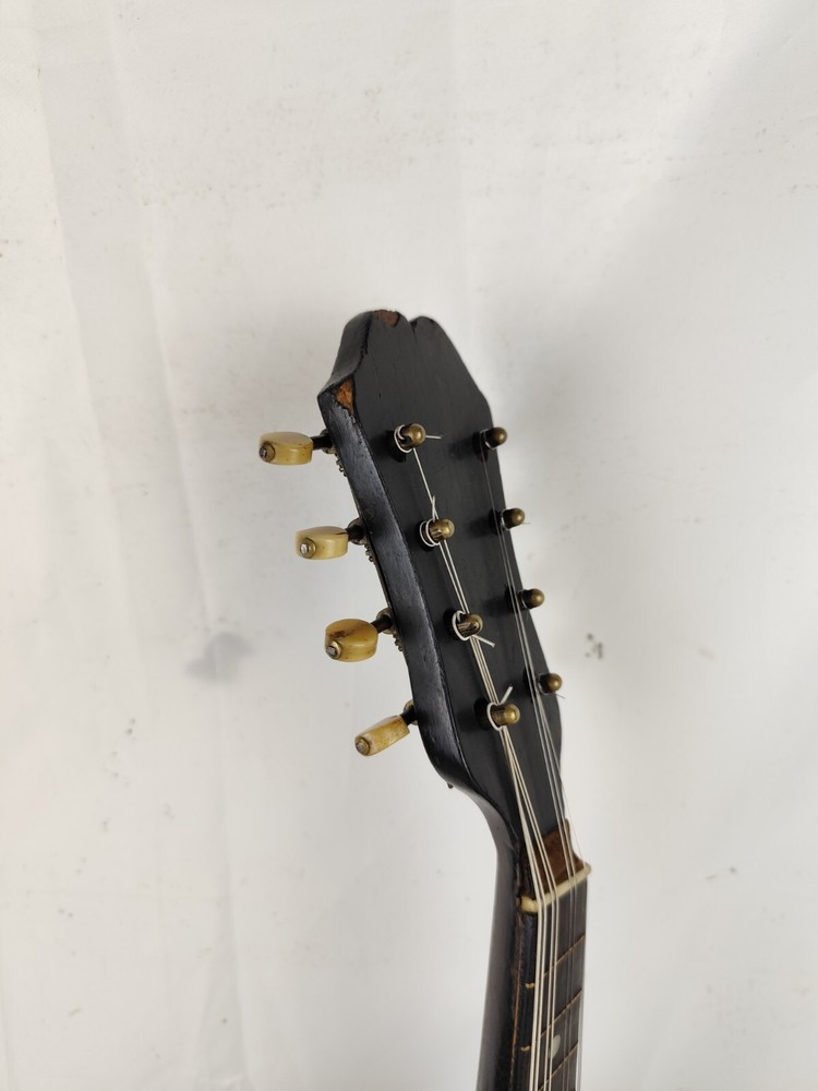 Mandolin 4/4 Carlo Loveri e Son 1901 Naples 曼陀林 만돌린マンドリン