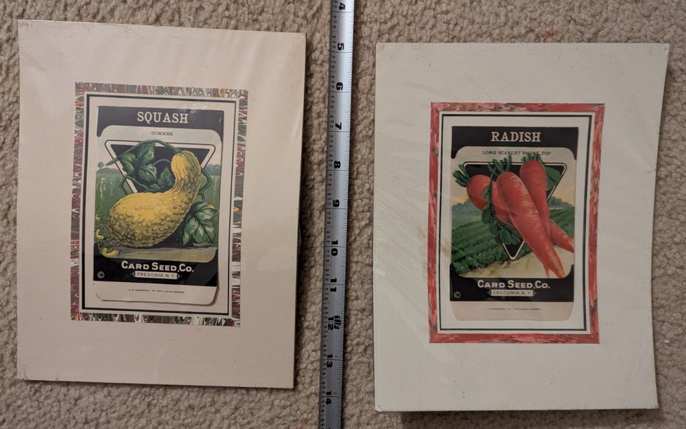 (2) Vegetable Empty Seed Packets - Card See Co.