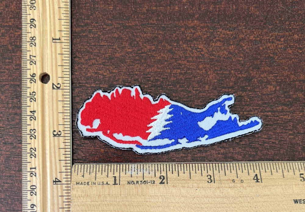 Grateful Dead ~Long Island SYF ~ Embroidered Patch
