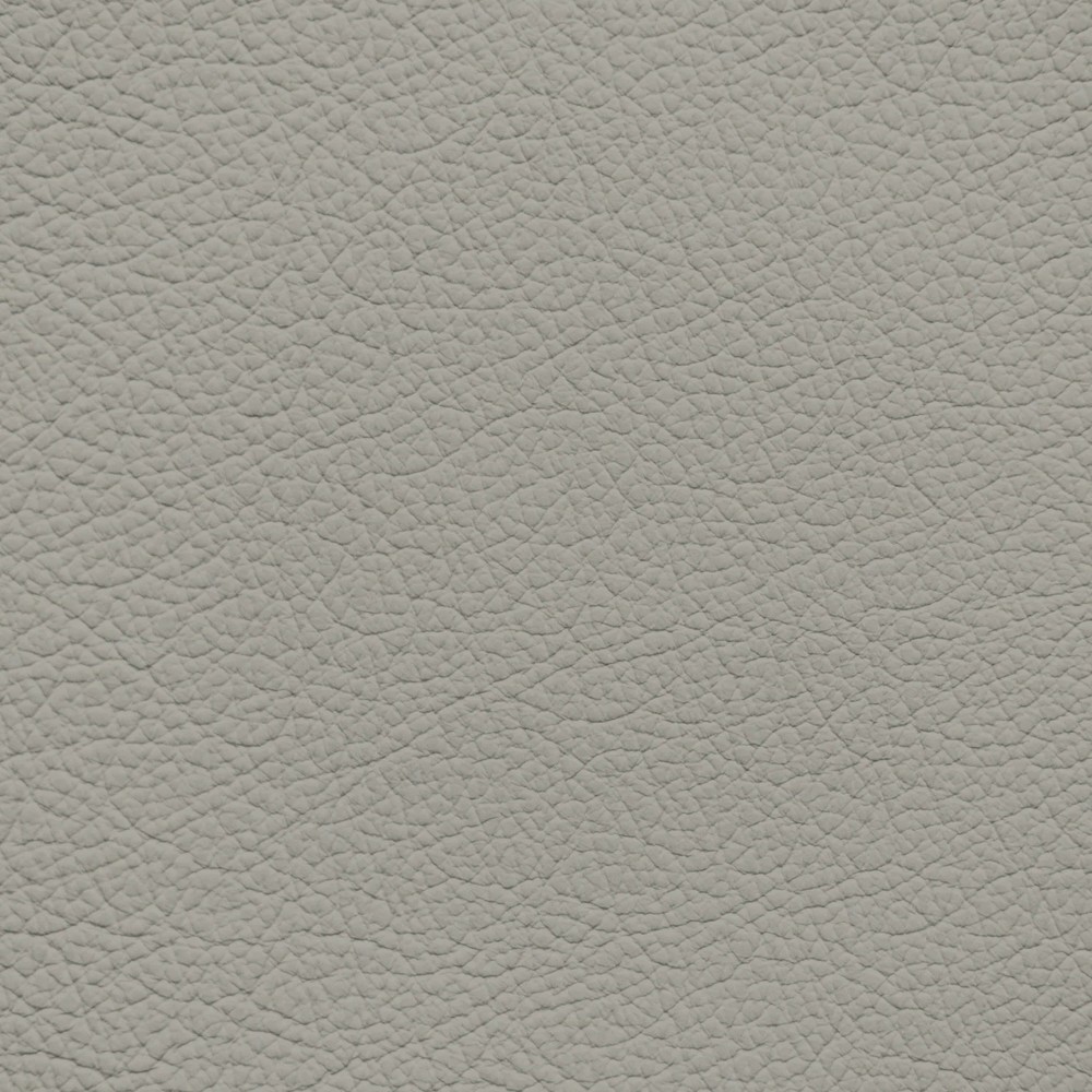 GM Light Platinum Leather Dye