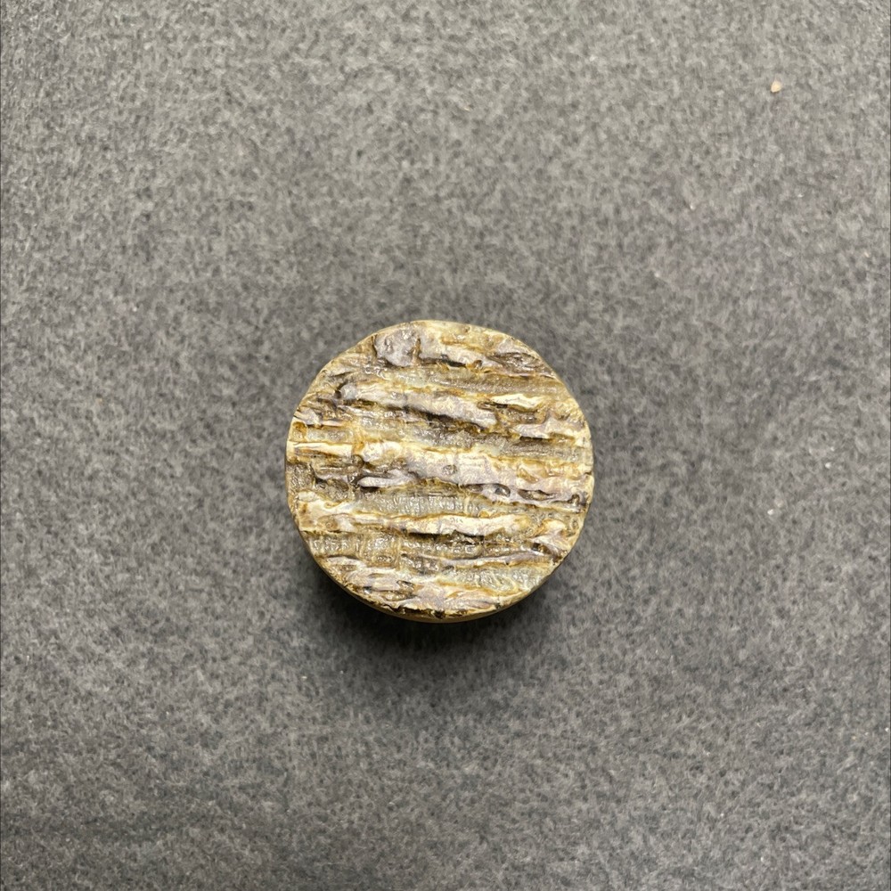 (5 Pack) 1-1/4 inch Oyster Shell Cone Knob