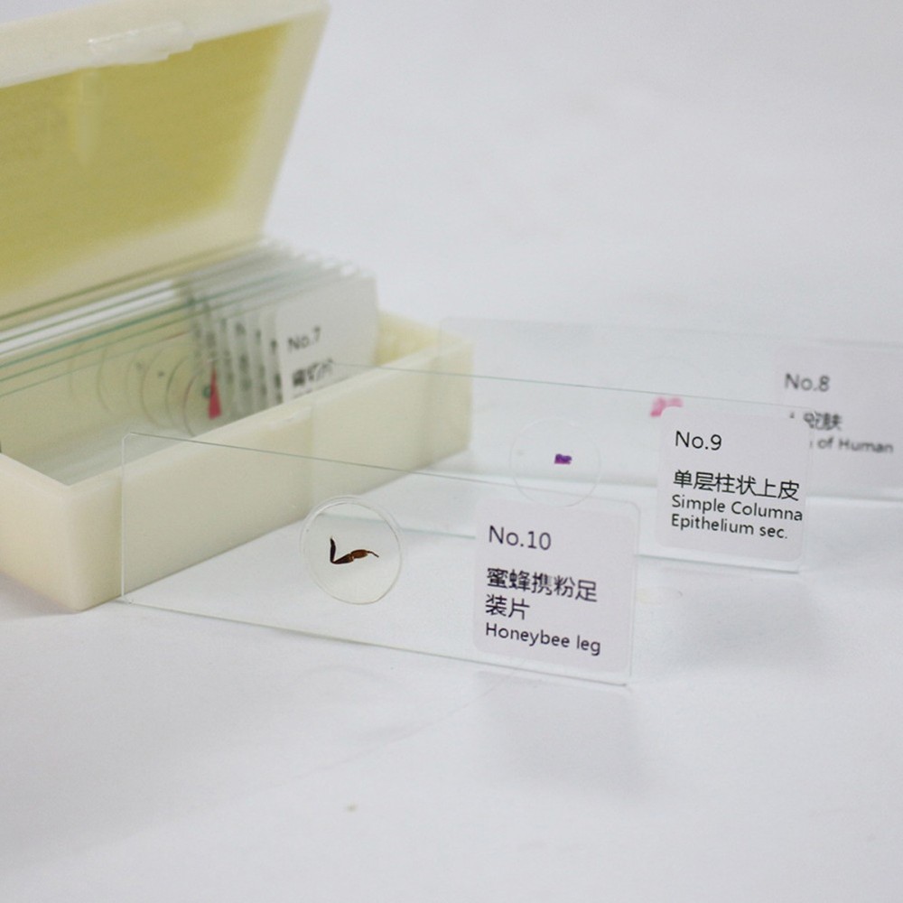 10 PCS/Set Specimen Slides for Microscope and Coverslips Concave