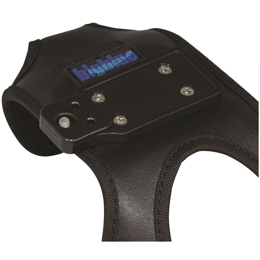 Bigblue 2900 Lumen Dual Beam Light