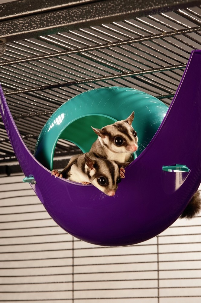 Lixit Critter Space Pod, Perfect for Small Animals (Large)