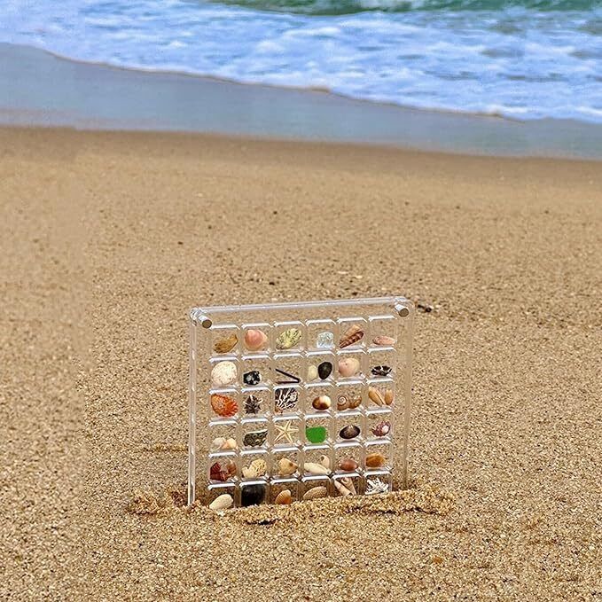Acrylic Magnetic Seashell Display Box, 36/64/100 Grids Seashell Display Box