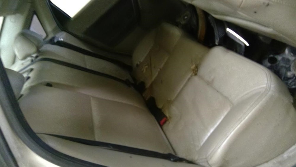 Used Headrest fits: 2010 Ford Focus Grade A