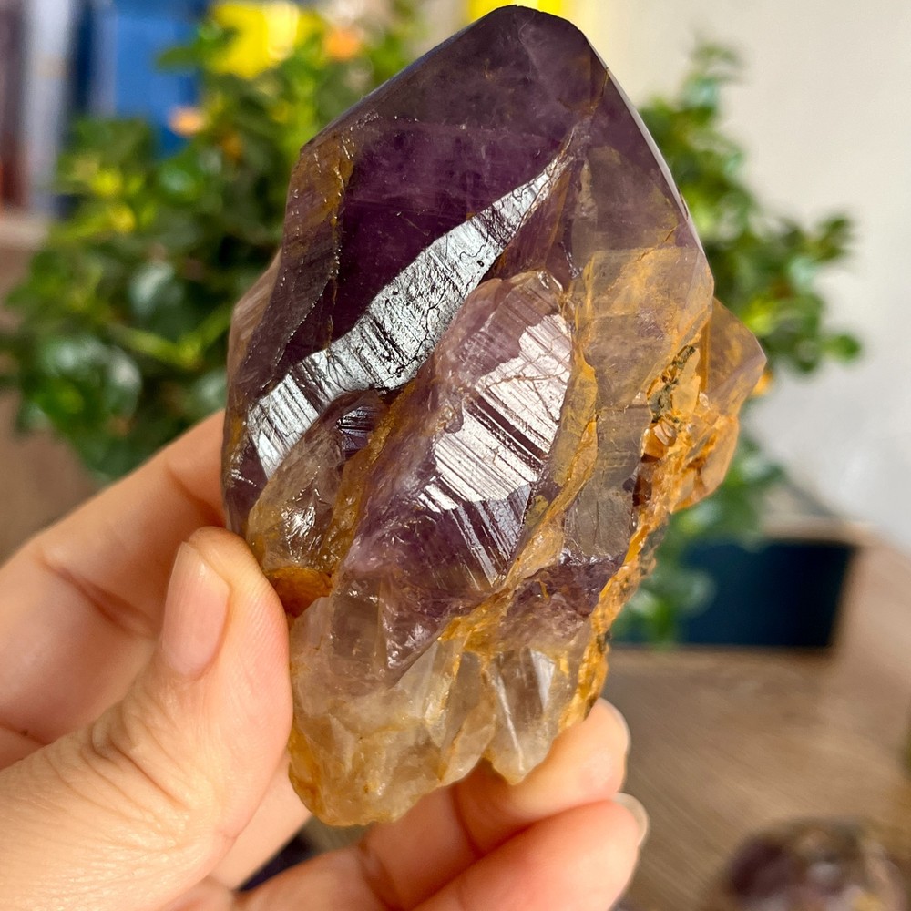 336g Natural Amethyst geode quartz clustercrystal specimen Healing