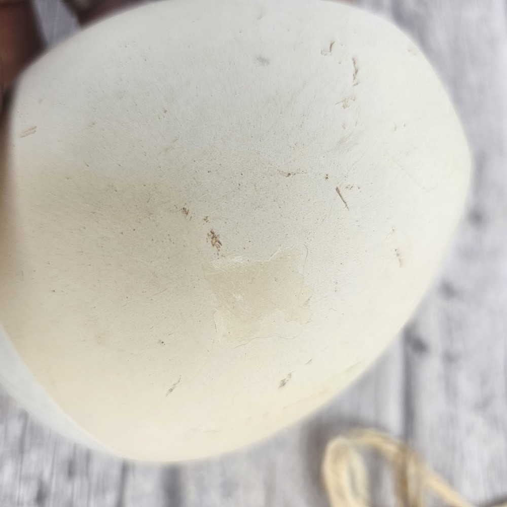 Skeeter Screen Patio Egg Mosquito Deterrent Diffuser USED