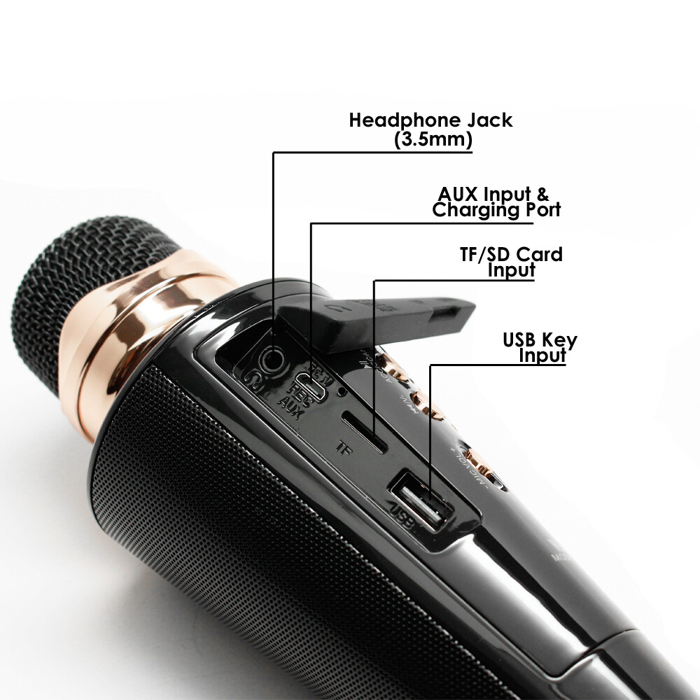 Handheld Vocal Microphone & Karaoke Speaker with LED Lights & Multimedia Support