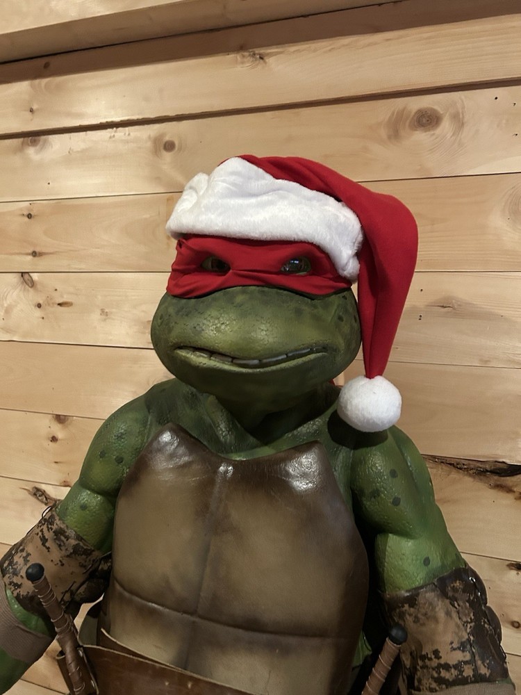 Ninja Turtle Raphael Costume