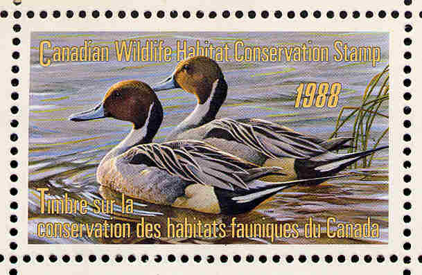 CANADA 1988 DUCK STAMP MINT IN FOLDER AS ISSUED PINTAILS by Robert Bateman