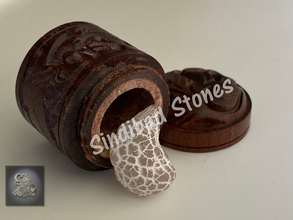 Snake Vomit - Power, Success, and Love زوعة الحية - قيء الثعبان - قوة ونجاح وحب