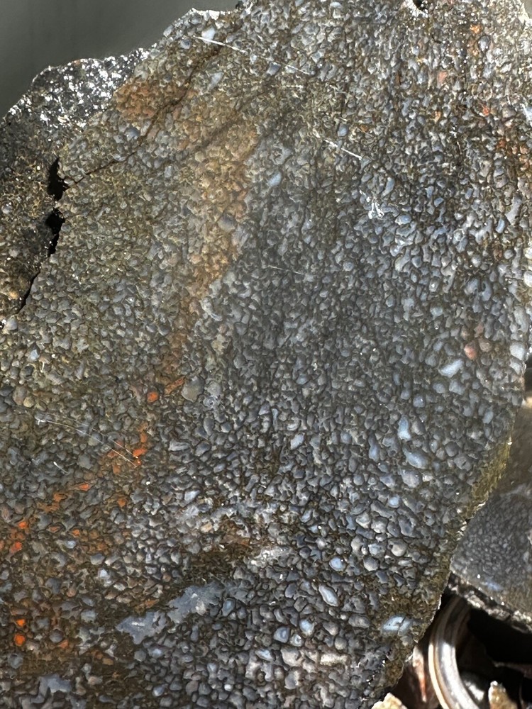 Dinosaur bone rough **hxtled large slab.