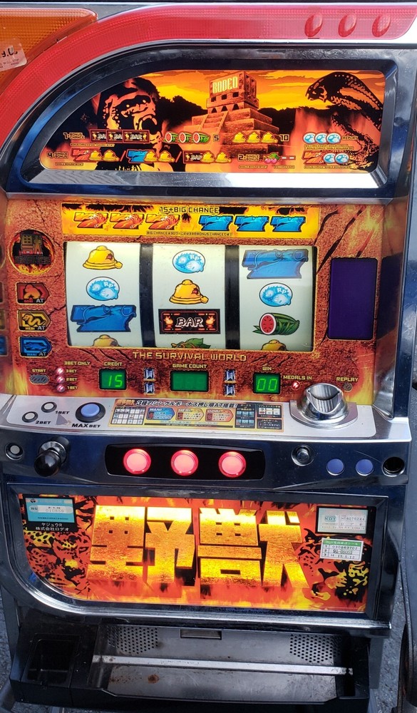 TOKEN SLOT MACHINE THE SURVIVAL WORLD 1994
