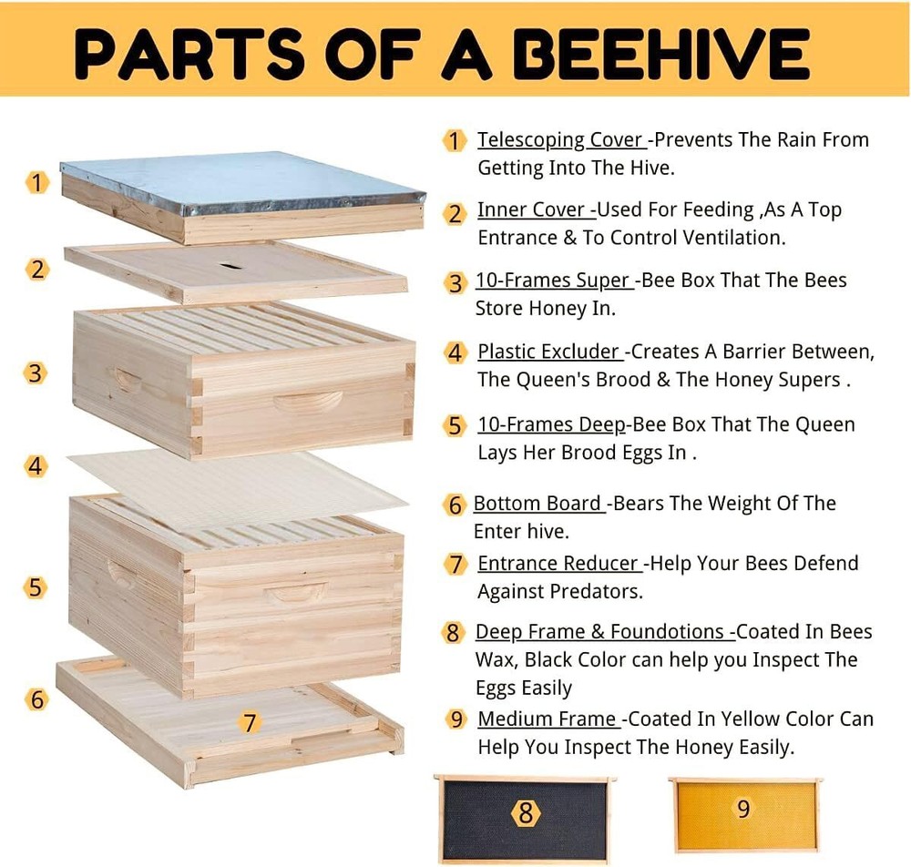 10-Frame Beehive Starter Kit, Honey Bee Hives Includes 1 Deep Bee Box 1 Medium B