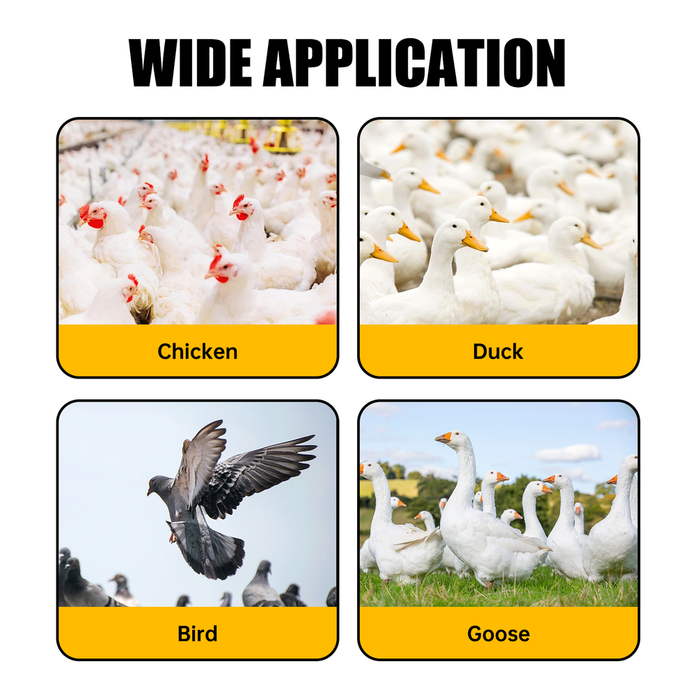 10 PCS Automatic Water Cups Poultry Drinker Waterer Chicken Duck Quail Drinking