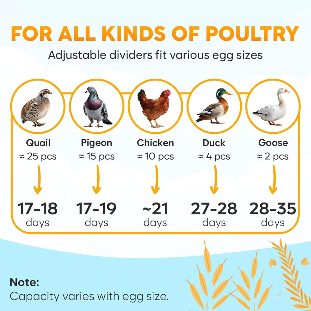 Automatic Egg Incubator with Turning Control for Hatching Chicken, Duck, Goose,