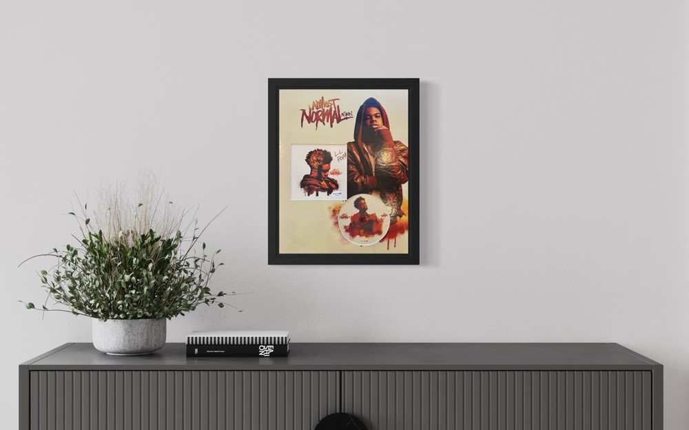 Lil Poppa Signed "Almost Normal Again" CD Insert 11x14 Framed - ACOA