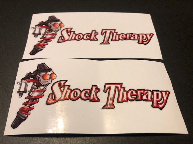 SHOCK THERAPY Can Am 2PC STICKER SET ***NEW*** 4.5"
